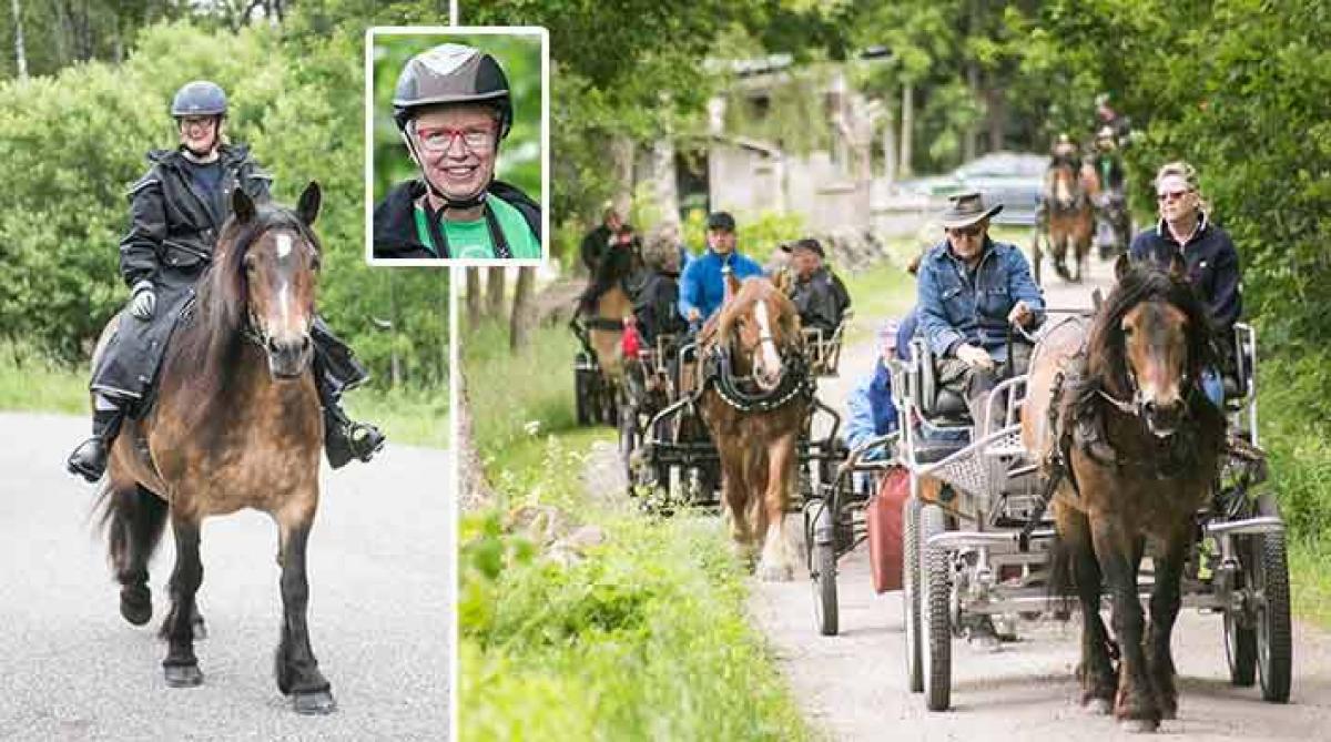 <i>Karin Andersdotter Johansson red till Hälleviksstrand för att köpa glass. Först i den 21 ekipage stora kortegen körde Göran och Ingela Rohdén. Glassätarturen på Orust arrangerades av Alice Zakrisso...