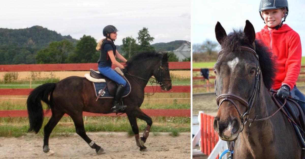 <i>Poetic Byron (e. Poetic Justice, u. Myrens Anitra, e. Nice-n-Easy). Foto: Privat </i>