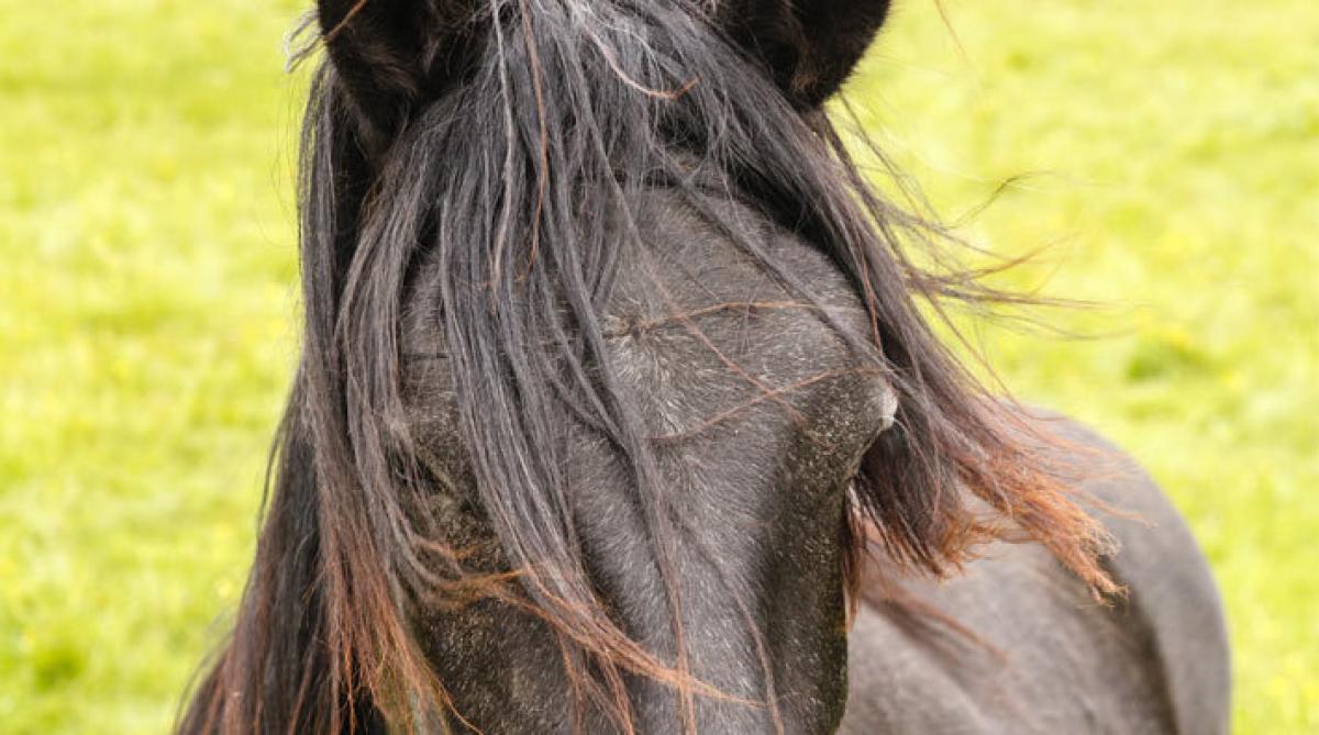 <i>Foto: Adobe Stock</i>