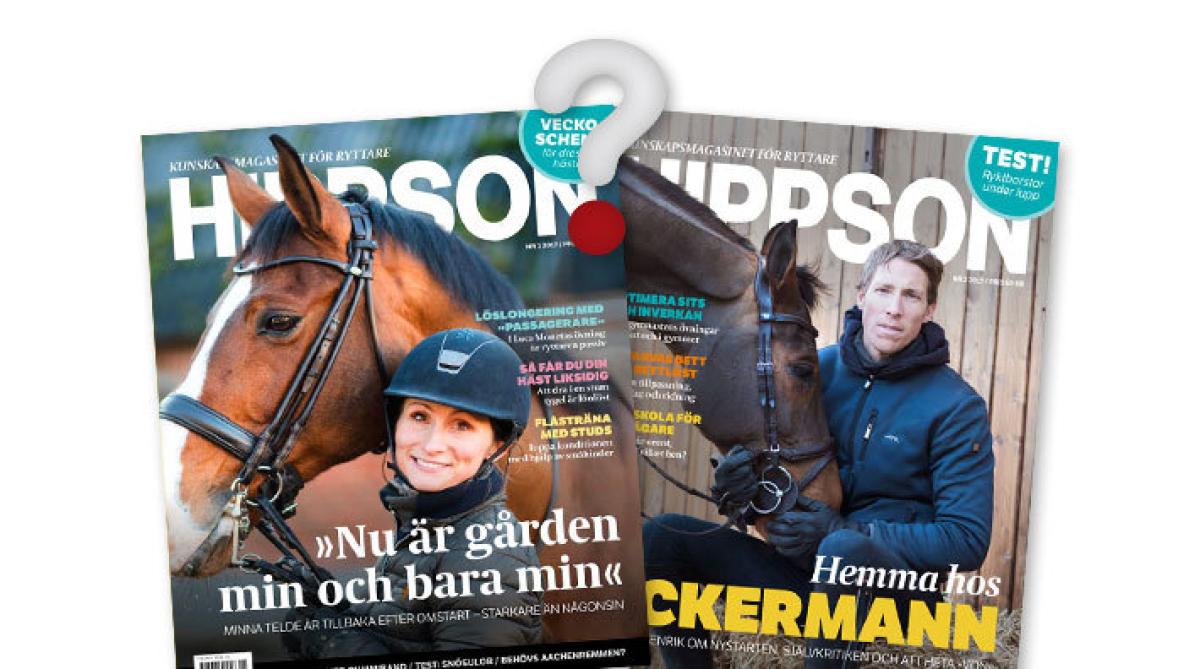 Enkät: Några korta frågor om dig och kunskapsmagasinet Hippson