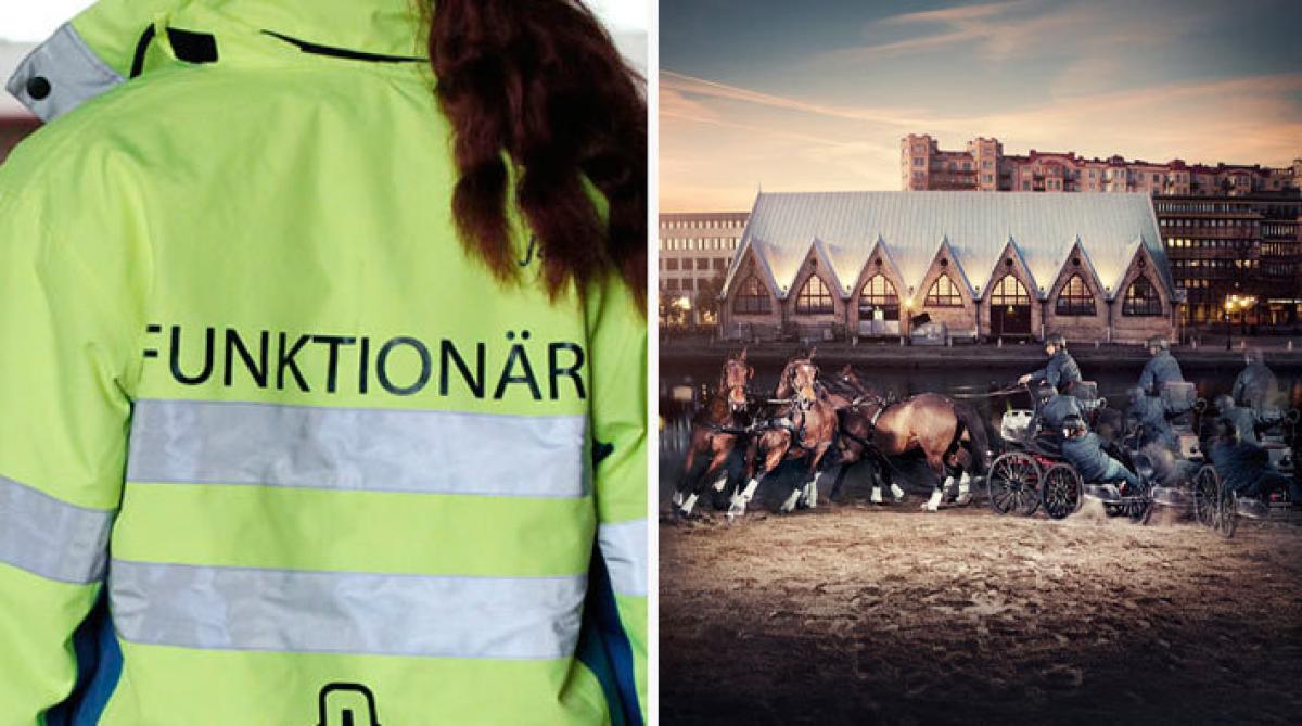 <i>Foto: Hippson (funktionär) och FEI EM i Göteborg 2017</i>