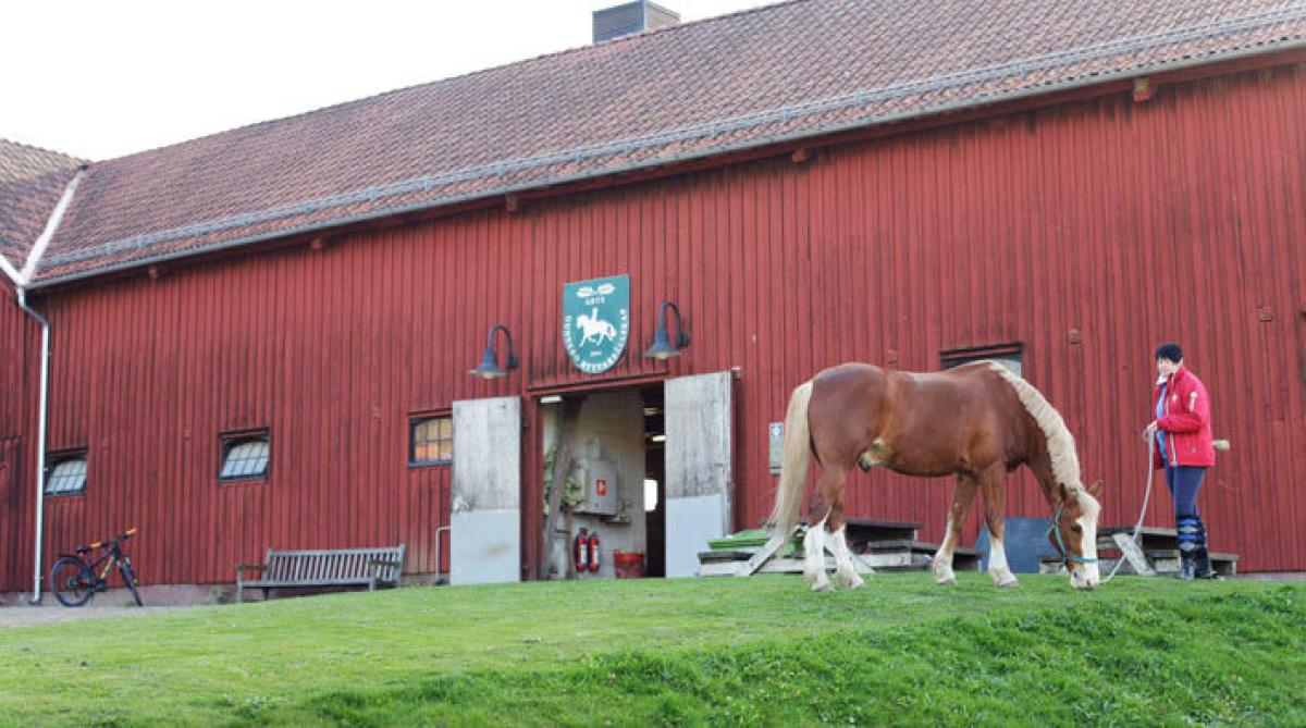 Gunnebo ryttarsällskap förlorar gräshagarna
