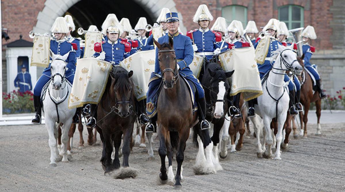 <i>Foto: Anders Sjödén/Försvarsmakten</i>
