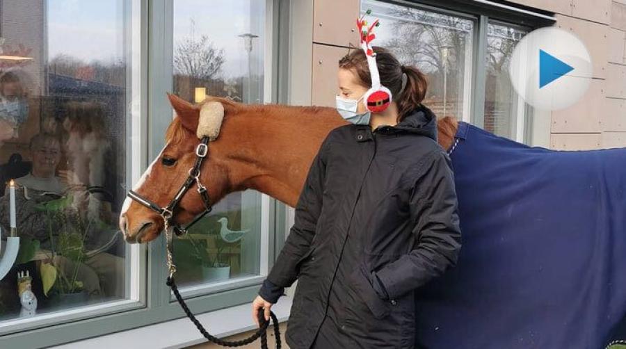 Ponnyn Brady är en riktig klippa. Han inte bara agerar läromästare och är en perfekt förstaponny. Han sprider glädje och julstämning på äldreboende också.