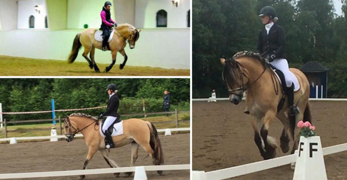 <i> Foto: Sanna Ewald (övre vänstra hörnet) och Privat </i>