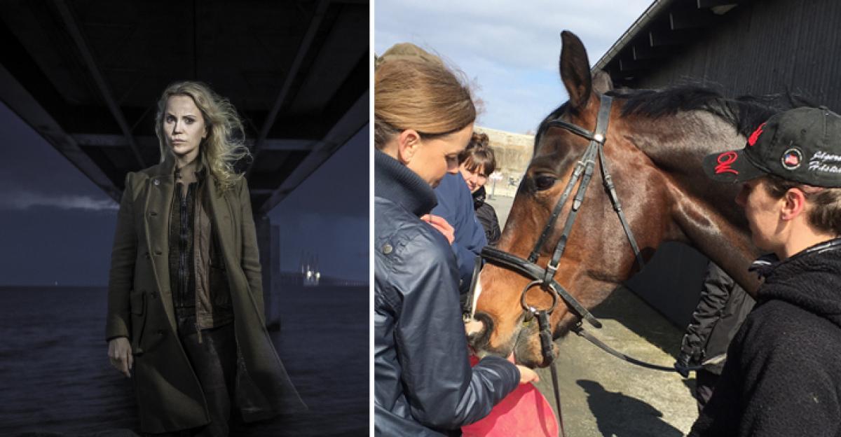Tv-serien Bron filmar på Klagshamns ryttarförening: "Visst är det spännande"
