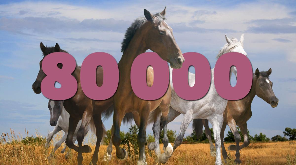 80 000 följare på Facebook – det firar vi med att sälja böcker för 80 kronor styck!