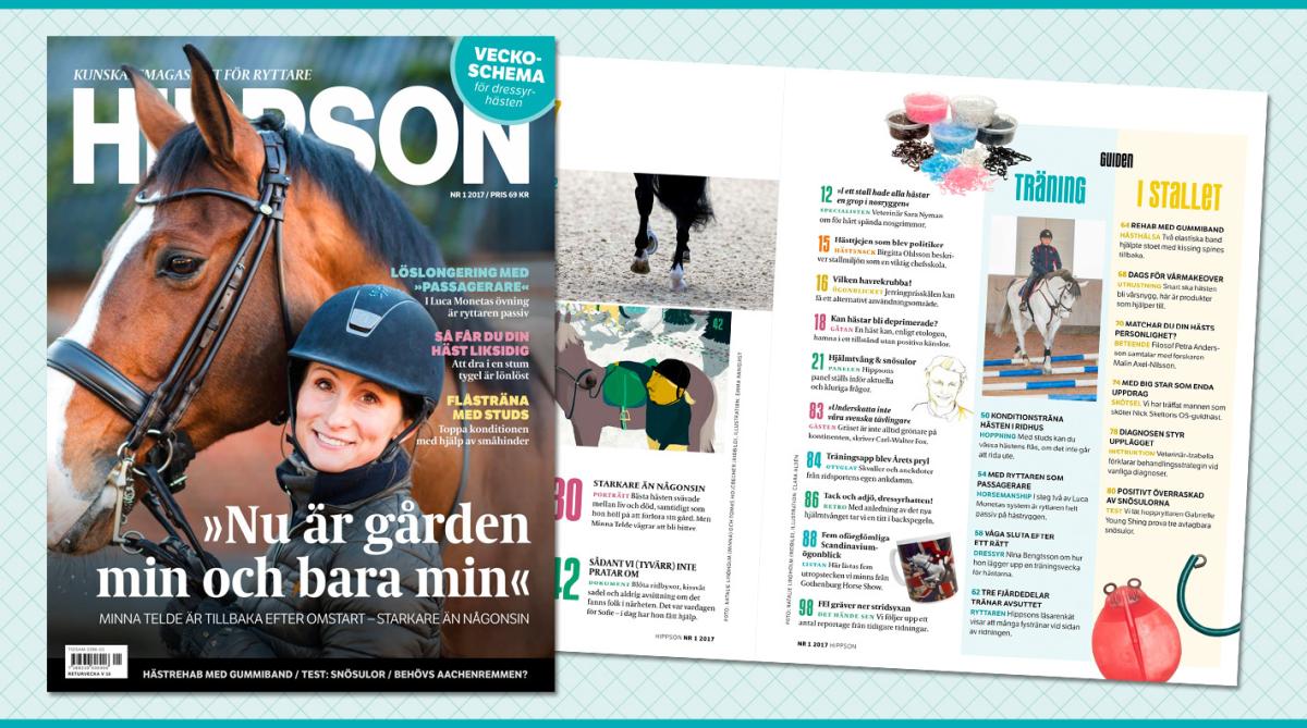 Hippson Nr 1 – 2017