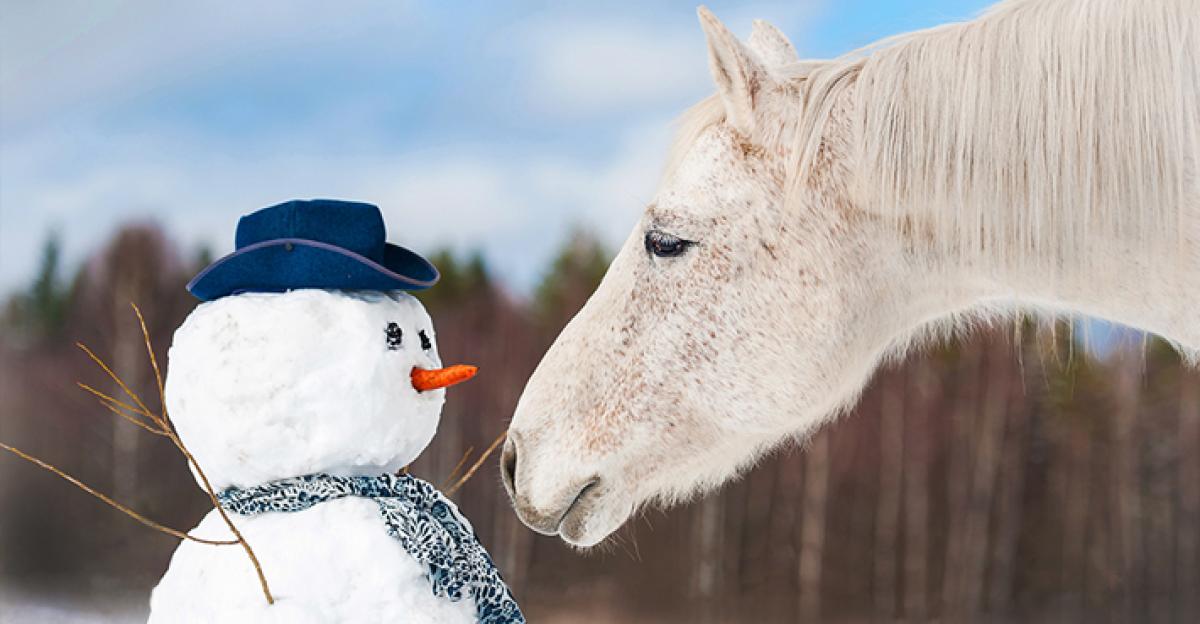 <i>Foto: Adobe Stock</i>