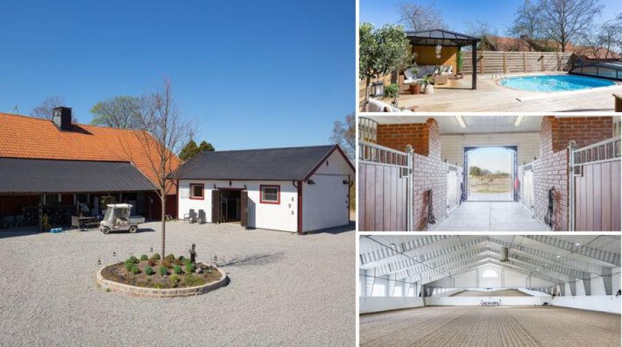 En drömgård för hästälskare – med flera stallar och svalkande pool