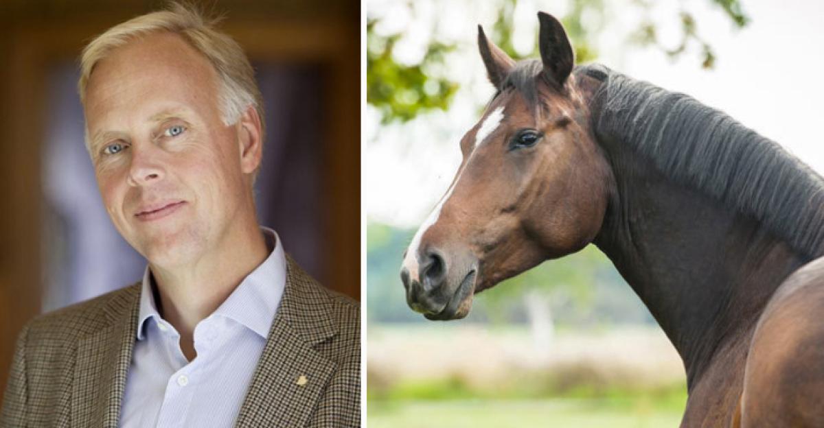Toppchef har exklusiv stallplats i Hovstallet: "Kan räknas som jäv"
