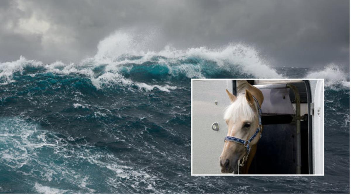 <i>Arkivfoto: Adobe Stock</i>