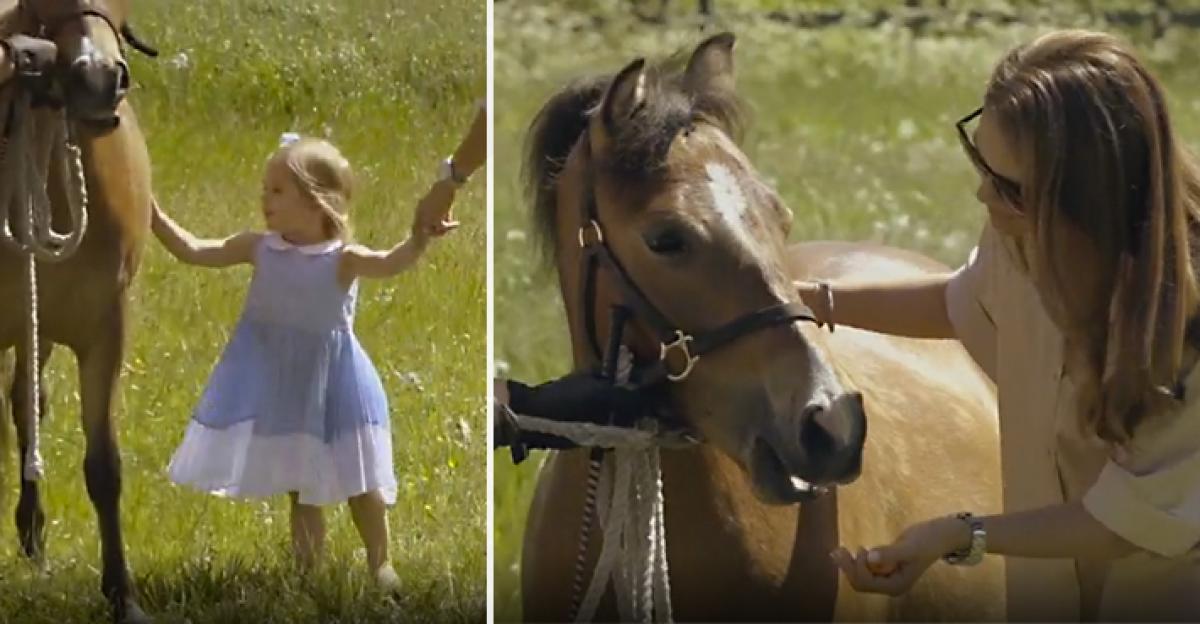 Prinsessan Madeleine: "Man får fötterna nere på jorden som hästtjej"