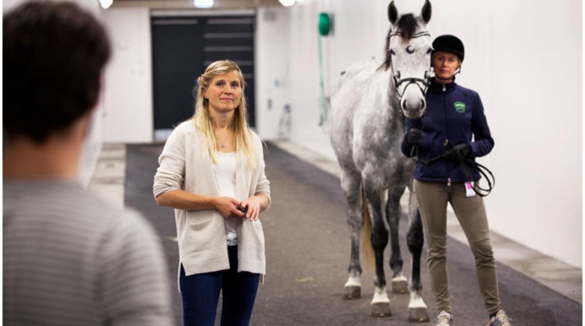 <i>Marie Rhodin, SLU, har fått medel till att forska om hästars rörelsemönster. Foto: Viktor Wrange, SLU</i>