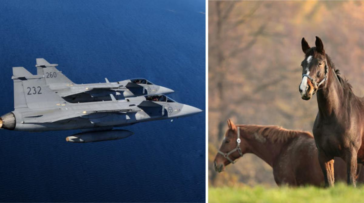 <i>Foto: Louise Levin/Försvarsmakten (JAS-plan) och Adobe Stock</i>