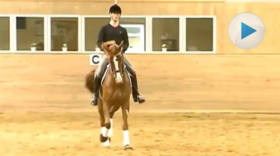 I detta klipp från DressageHub får vi en utförlig förklaring på vad en skänkelvikning är samt hur man utför en korrekt sådan. Något för nästa ridpass?