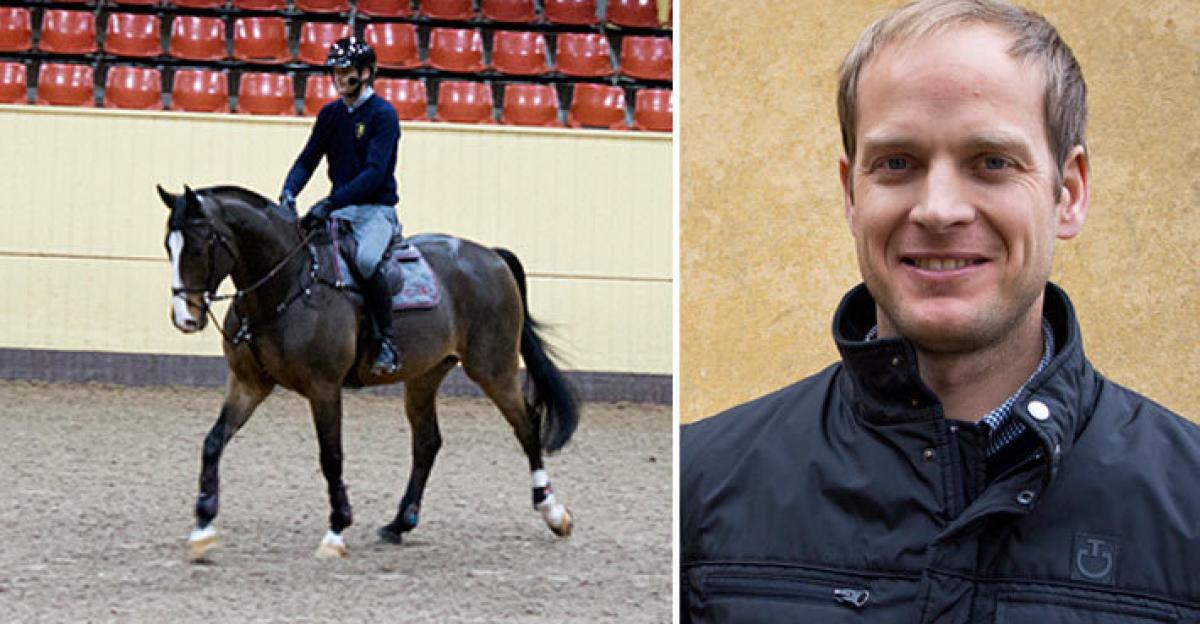 Henrik Ankarcrona: ”Som ryttare ska du göra så lite som möjligt”