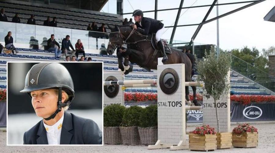 Foto: Lövsta Stuteri, Hippson (porträtt)