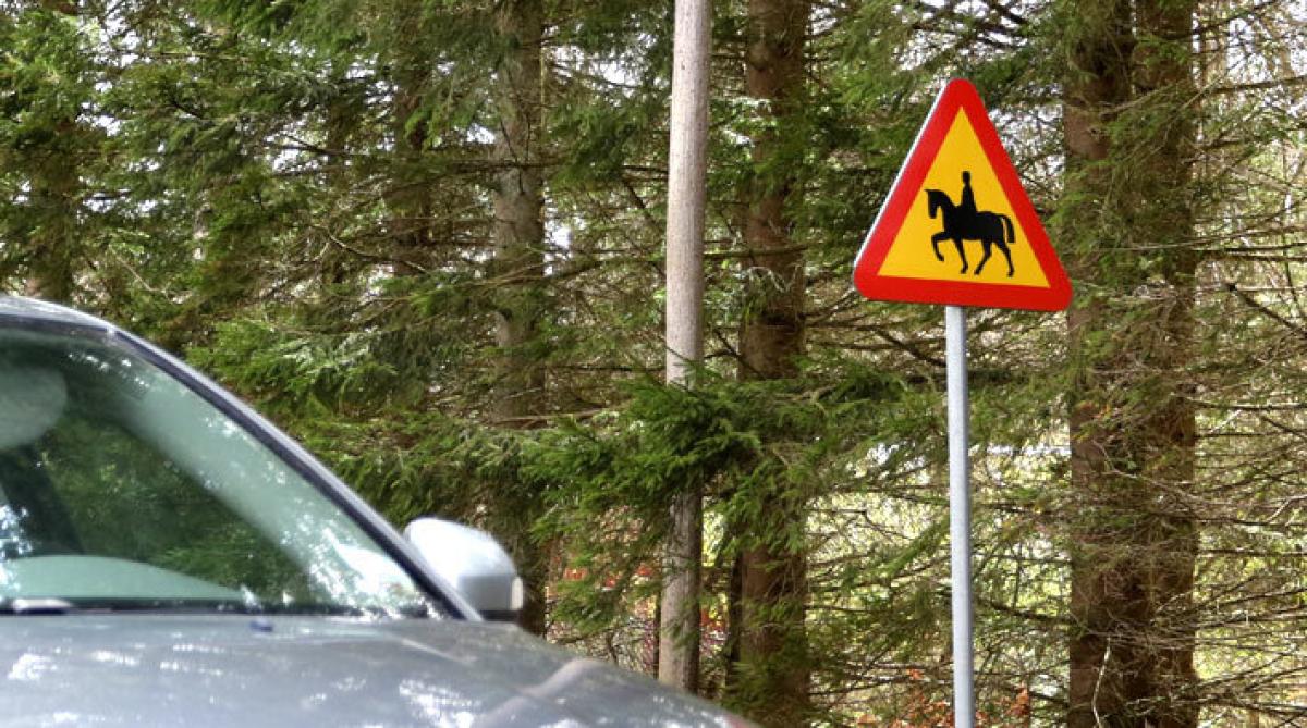 Häst i Heby hittad död efter smitningsolycka