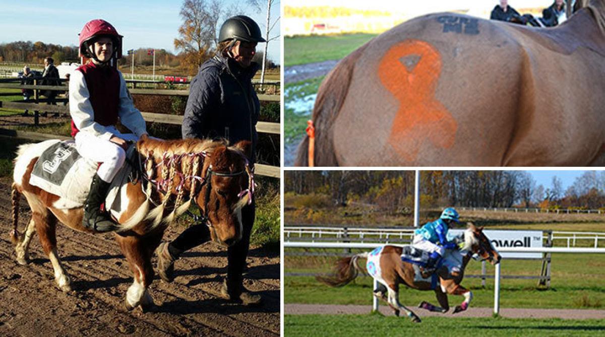 <i>Många härliga och välgörenhetsridande ponnyekipage på Göteborg Galopp. Foto: Privat</i>