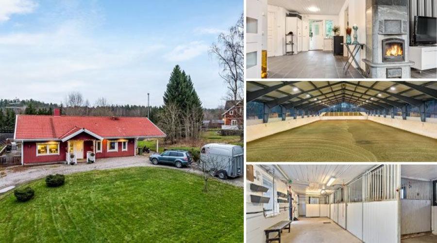 Mysig hästgård med ridhus och ridbana