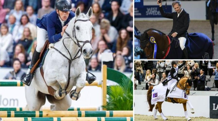 Arkivfoto: Tomas Holcbecher, Linnea Lindahl och GHS