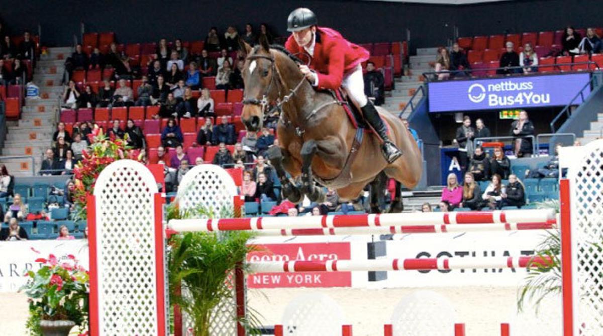 <i>Peder Fredricson och Flip's Little Sparrow tävlar i Belgien i helgen.</i>