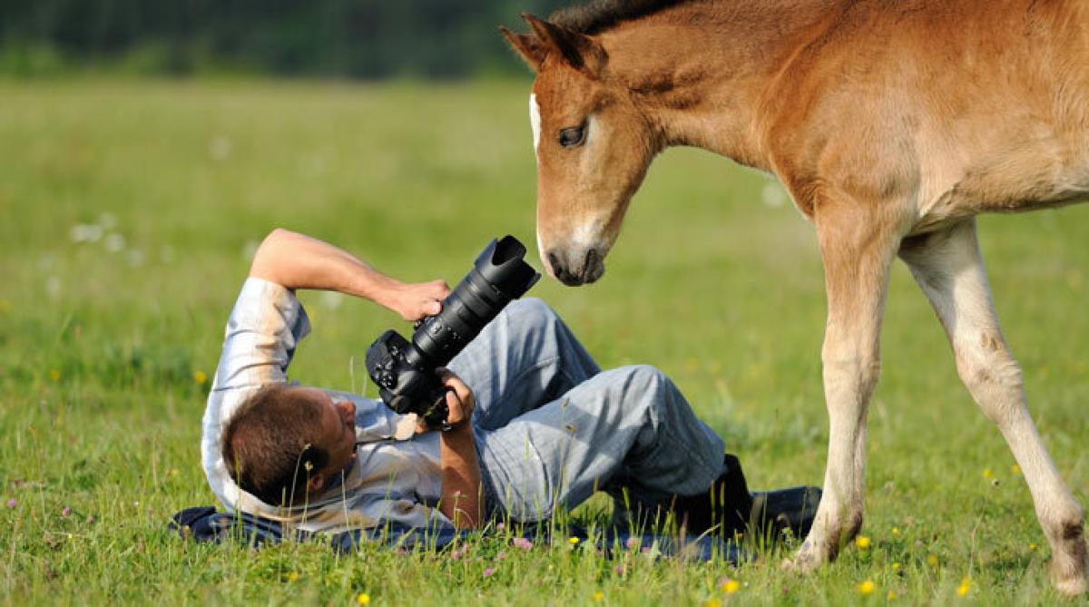 <i>Arkivfoto: Adobe Stock</i>