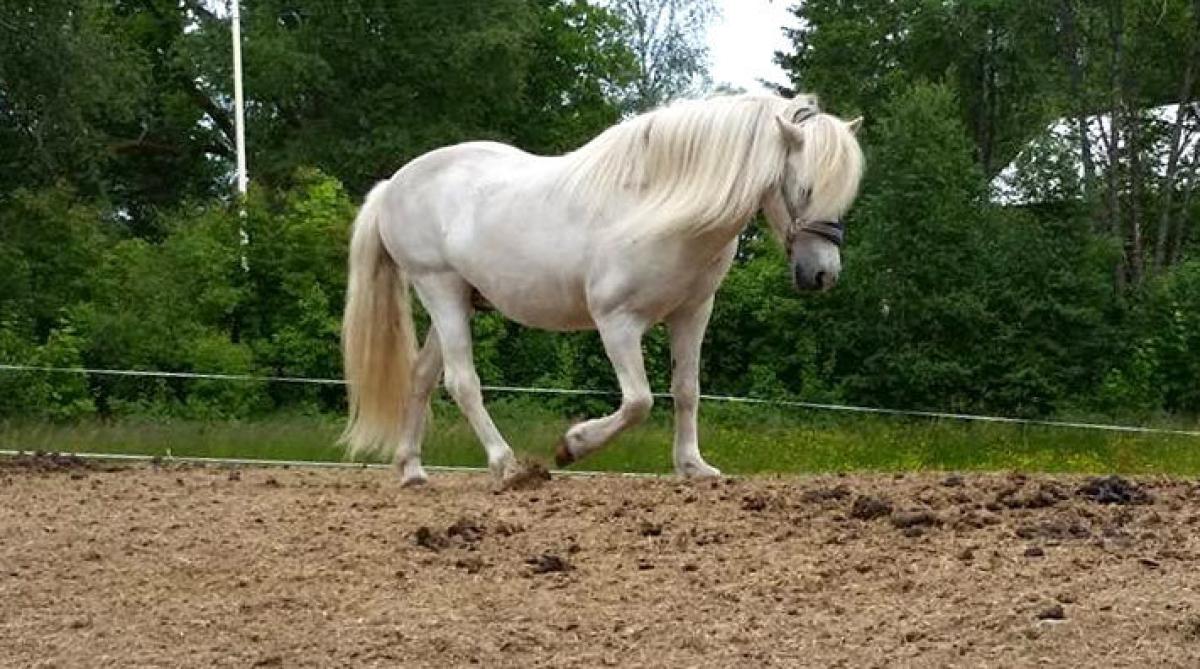 <i>FOTO: Privat</i>
