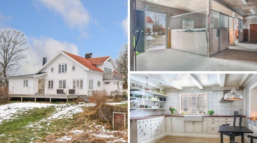 Skräddarsydd hästgård med mycket mark