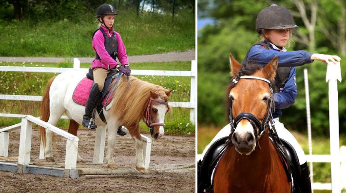 <i>Isabelle Wiklund och Max går över bron och Elvira Svensson på Morej flyttar muggen.</i>