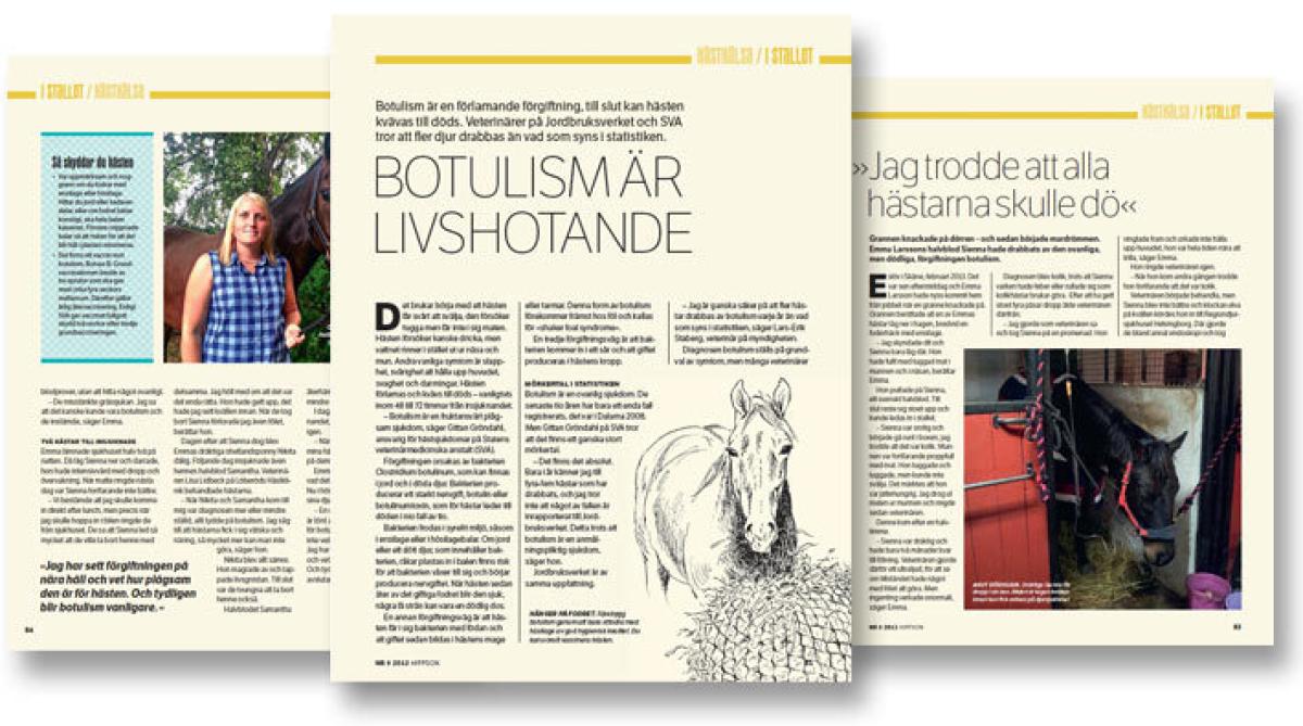 <I>I Hippson nr 5 2013 berättade vi om Emma Larsson, som miste två av sina hästar i botulism. </i>