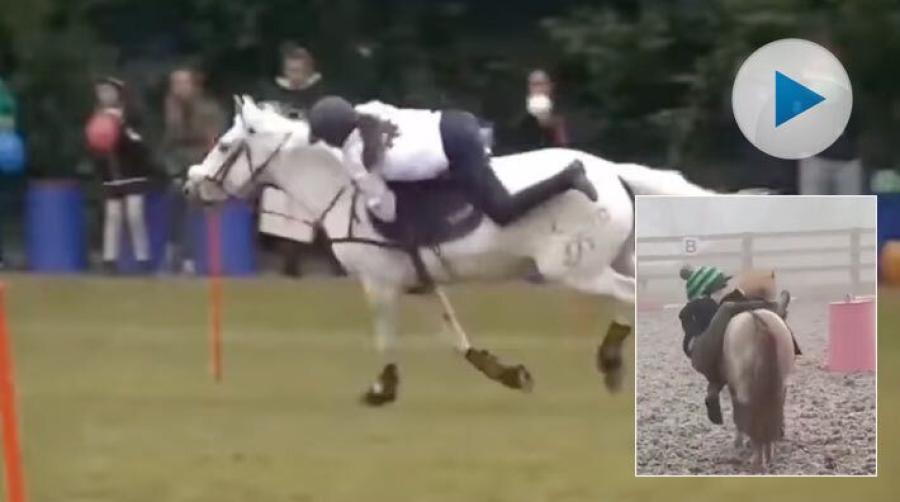 <p>Man kan inte annat än imponeras av den franska mounted gamesryttaren Violaine Ferrandez och hennes ponny Licorne du Mas.