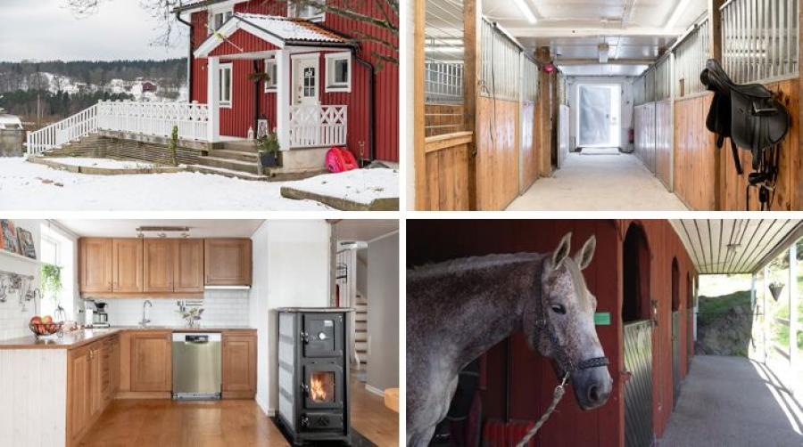 Komplett hästgård med tre stall och två bostadshus