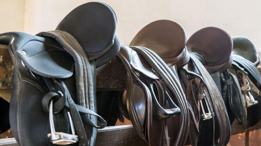 Arkivfoto: Adobe Stock