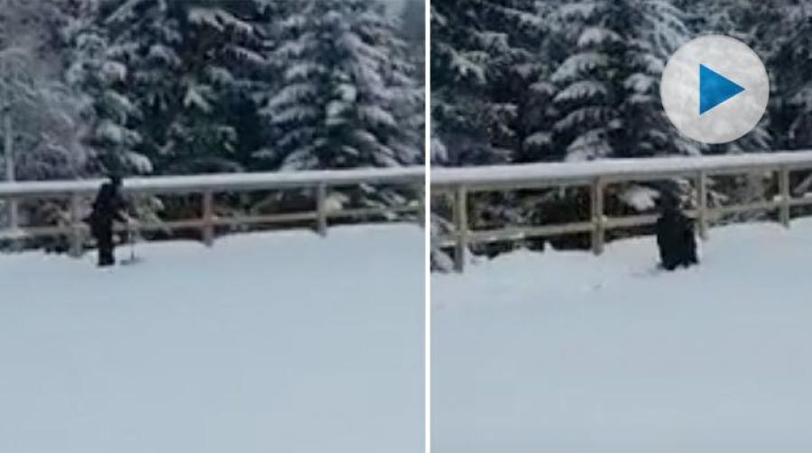 När Linneas mamma Maria en dag kommer ut till ridbanan håller Linnea på att skotta fram fyrkantsspåret med hjälp av en spångrep.