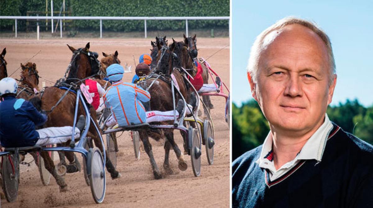 Skillnad på att besiktiga rid- och travhäst