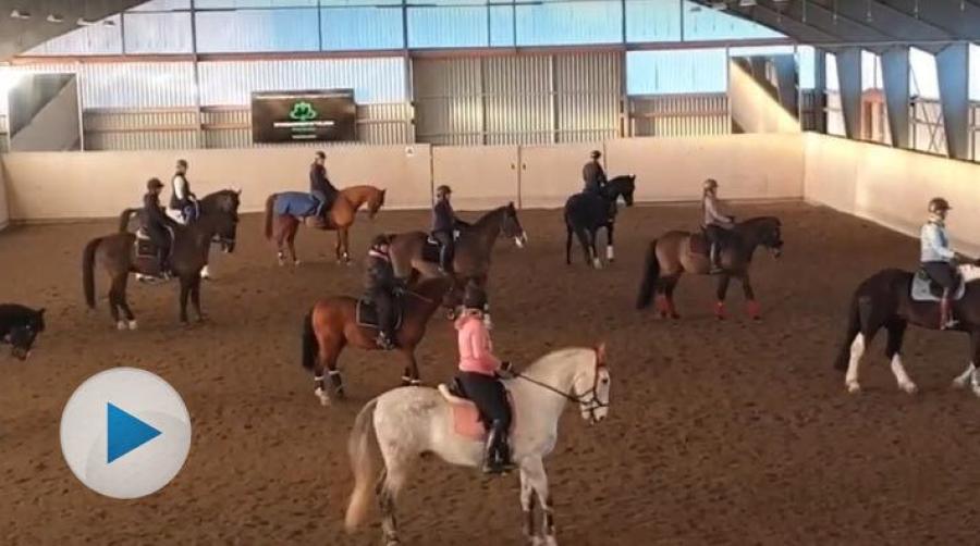 Dansutmaningen Jerusalema Challenge har genomförts över hela världen. Tågarpsortens ryttarförening gör dansen med en twist – uppsuttet till häst.