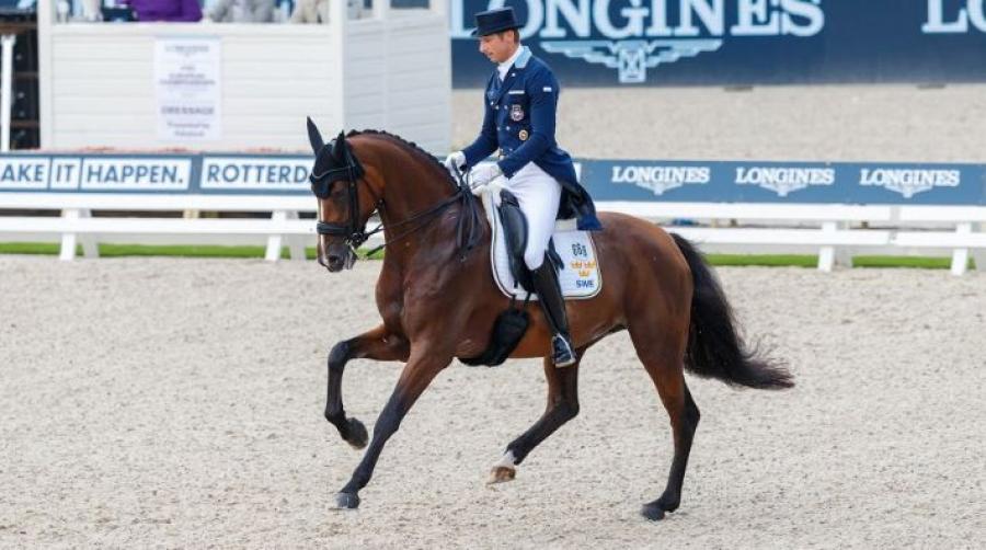 Arkivfoto: Tomas Holcbecher