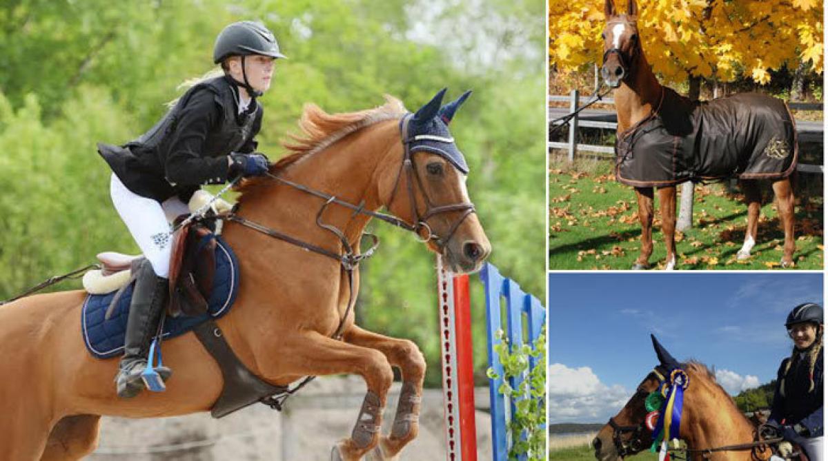 28 år är ingen ålder på en tävlingsponny