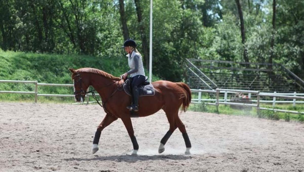 Fortsatt oklart om ridsporten som friskvård