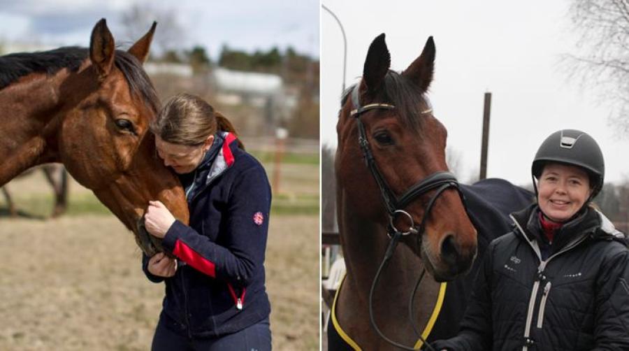 IVA-sjuksköterskan Hedvig fick hjälp av stoet Lavida under sjukskrivningen