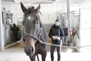 Linda Jacobsson, beridare på Bollerup, är den som har utbildat hästarna. Här gör hon i ordning femårige Highway.