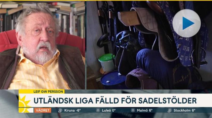 GW om sadelstölderna: "En yrkesbrottslighet som vi pratar om"