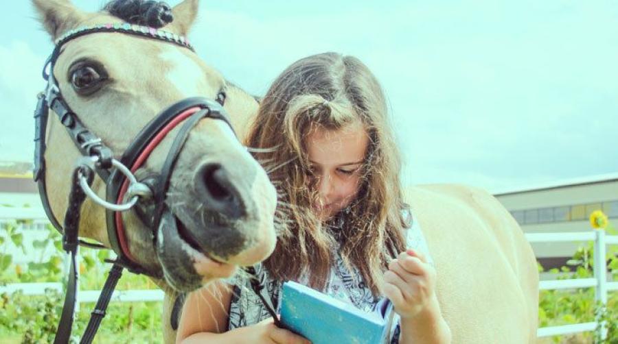 Från Black Beauty till Sigge – de vill kartlägga 1500 hästböcker 