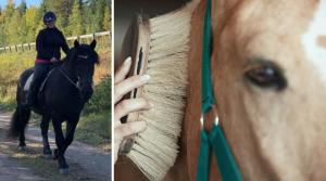 Liza Gryning vill slå ett slag för att hästar är individer och att det inte finns en mall som gäller för alla. Vi måste lita på att vi alla tillgodoser vår hästs behov.