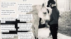 Nätverket "Killar som rider" har skrivit en hästig juldikt för att önska alla hästvänner en riktigt god jul. Visst har de fått till träffsäkra formuleringar?