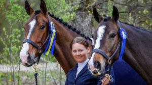 Tränaren och svårklassryttaren Katarina Torstensson vill ge sina elever ett helhetstänk. Läs hennes viktiga text om utvärdering och planering i slutet av året.