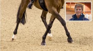 Kajsa Boström satt nyligen och tittade på  världscupdressyr. Efter en stund slogs hon av hur det lät om underlaget. Det riktigt dånade om hästarnas hovar.