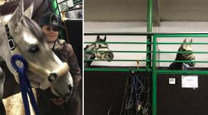 Sara Ekman rider årets sista tävling i helgen i Åstorp, dit tre hästar har följt med. Meetingets första dag bjöd på blåsigt väder, pigga hästar och en andraplats.